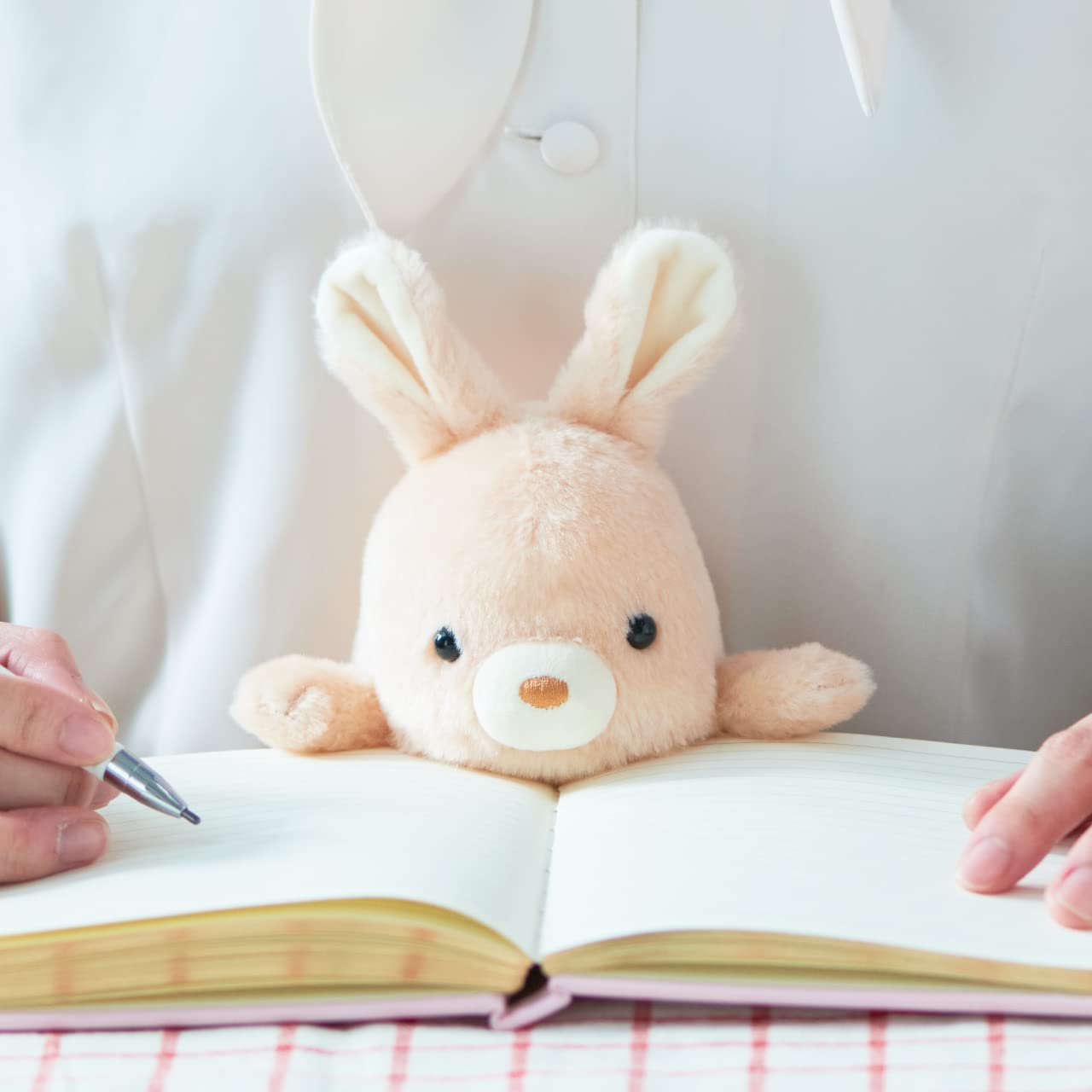 うさぎ Mサイズ ふんばるず (Regular) ウサギ | ドリームズ公式オンラインショップ